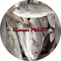 Raman Fish85 Raman Fish85