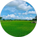 Shah Rizal
