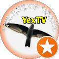 YexTV YexTV