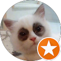 Iz Iz