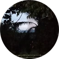 Russ_Ell2 ECF Russ_Ell2 ECF